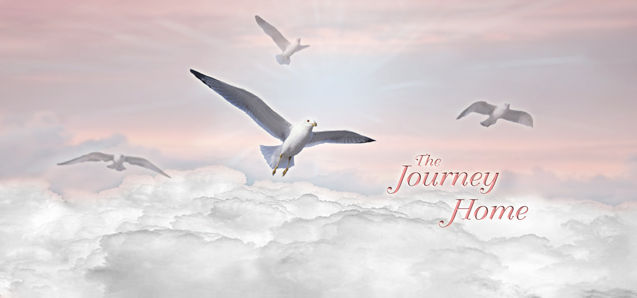 Journey Home Clouds Birds Pink